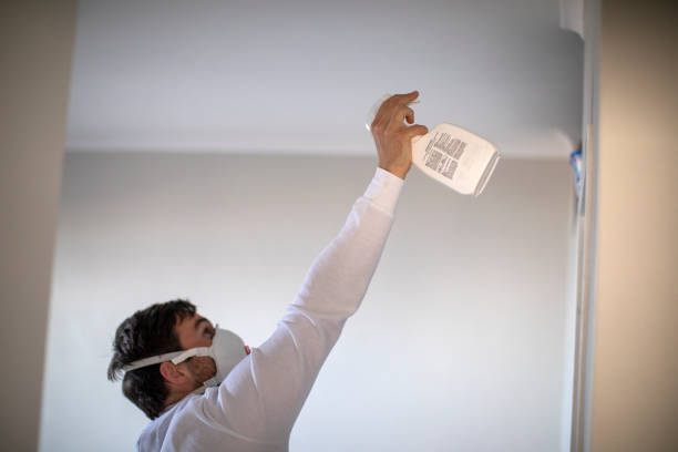 Best Commercial Mold Remediation in Keyser, WV